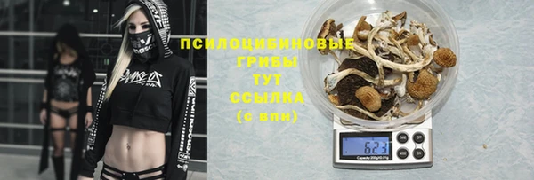 амфетамин Ельня