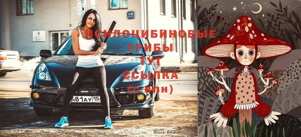 амфетамин Ельня