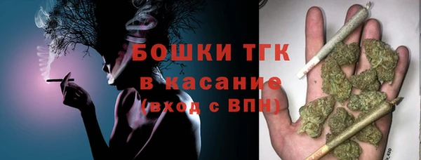 spice Елизово