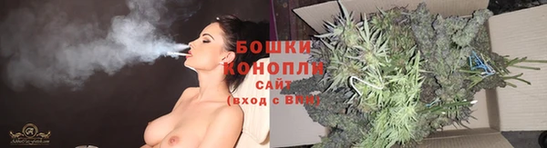spice Елизово