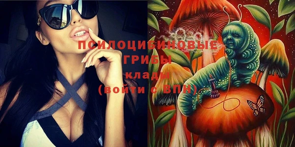 МДПВ Елабуга