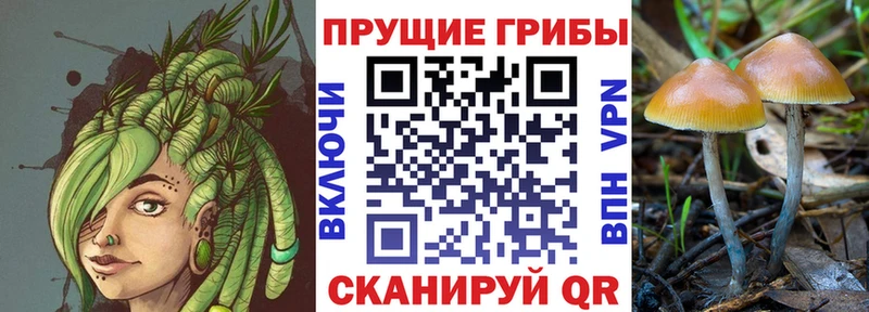 Купить закладки  Чекалин  Галлюциногенные грибы мухоморы 